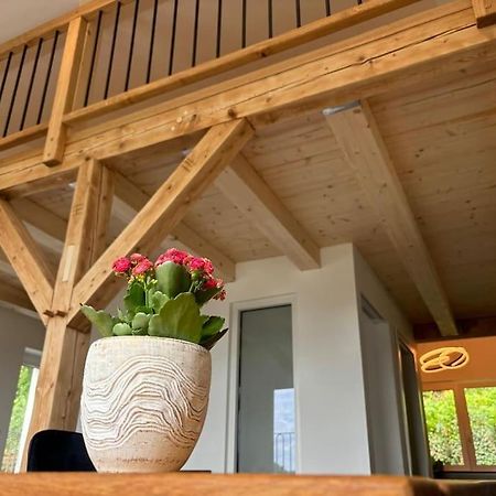 Zur Donauinsel Apartment Bad Abbach Exterior foto