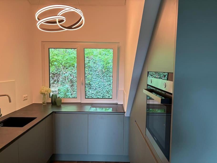 Zur Donauinsel Apartment Bad Abbach Exterior foto