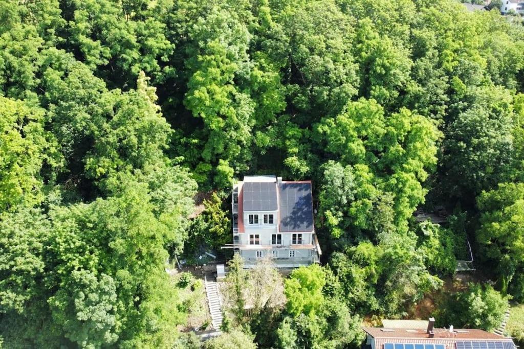 Zur Donauinsel Apartment Bad Abbach Exterior foto